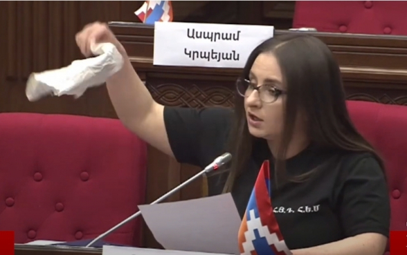 «Это вы, это ваше лицо»: депутат Кристине Варданян сравнила правительство с тряпкой (видео)